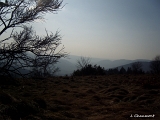 Vue vers la vallée de la Moselotte avec le Saint-Mont aisément reconnaissable